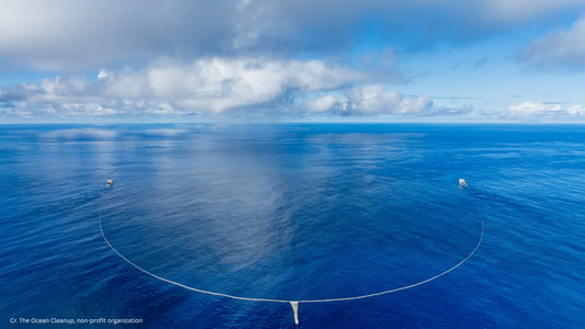 The Hero of Ocean: Get to know The Ocean Cleanup