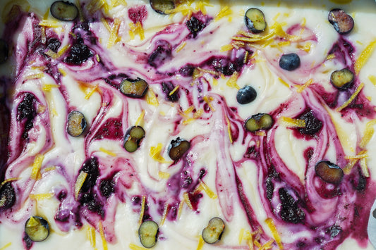 Blueberry and Lemon Frozen Yogurt Bars