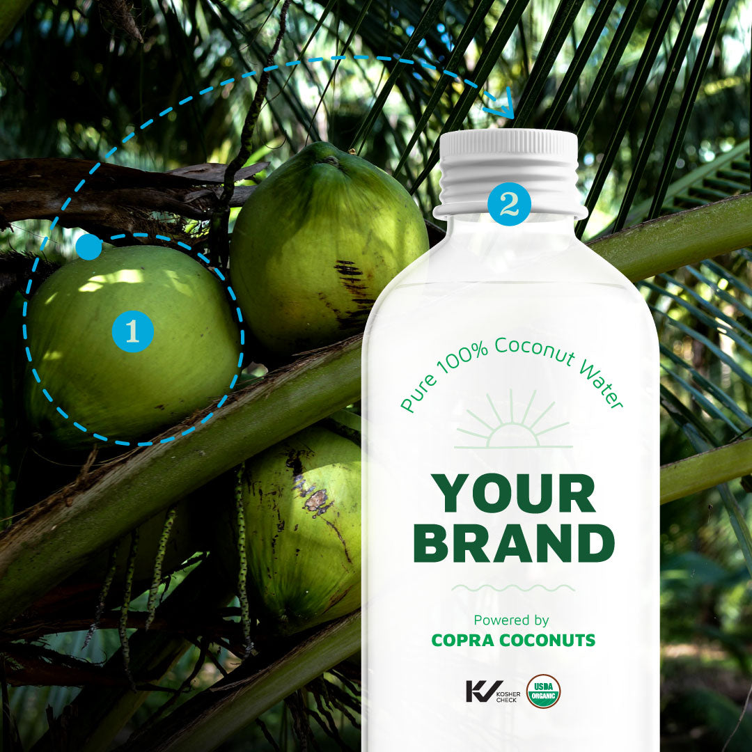Copra Coconut White Label and Private label Services Showcased by Coconut Water Private Label Bottle