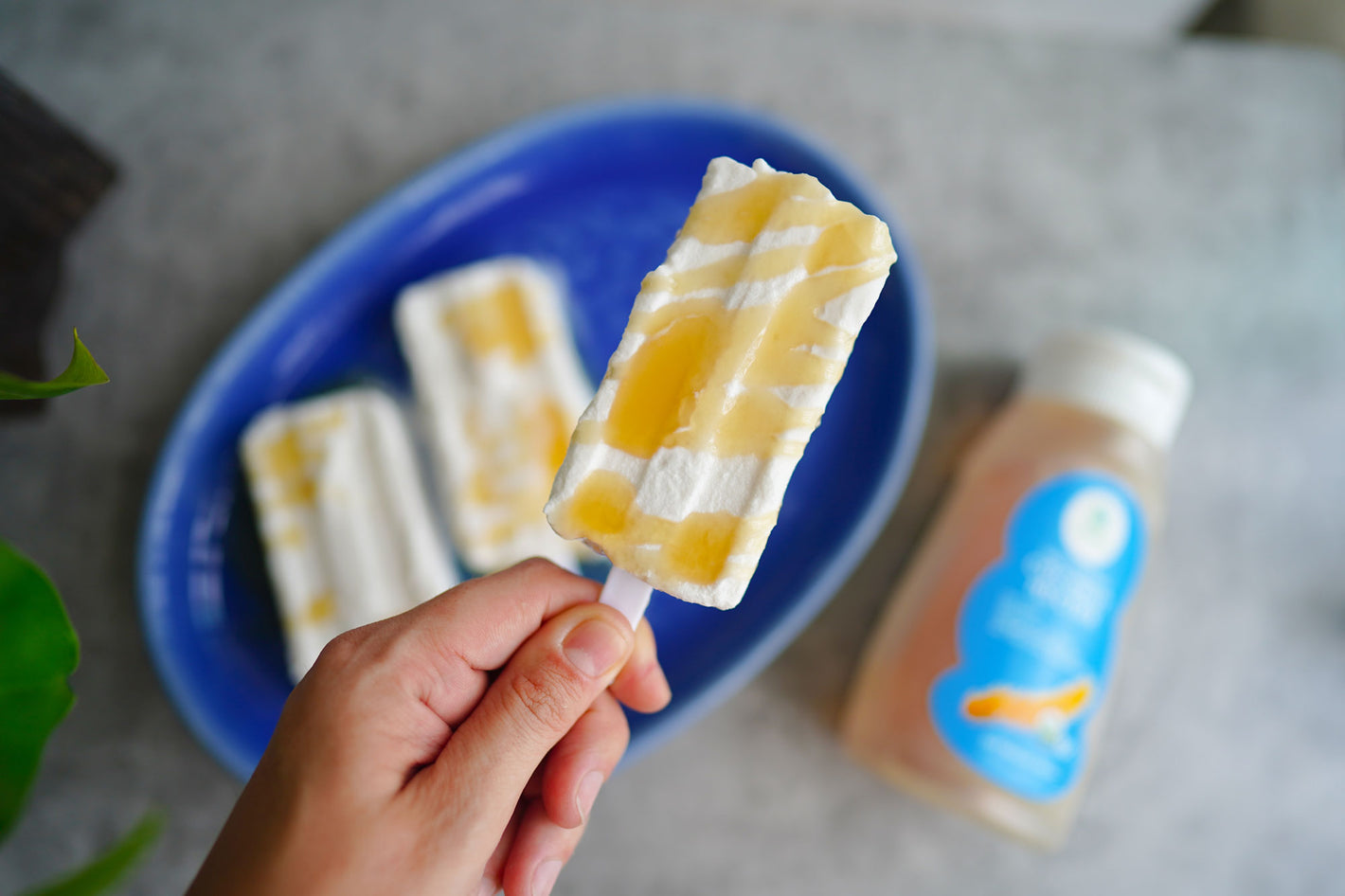 Young Coconut Popsicles - Vegan, No Sugar