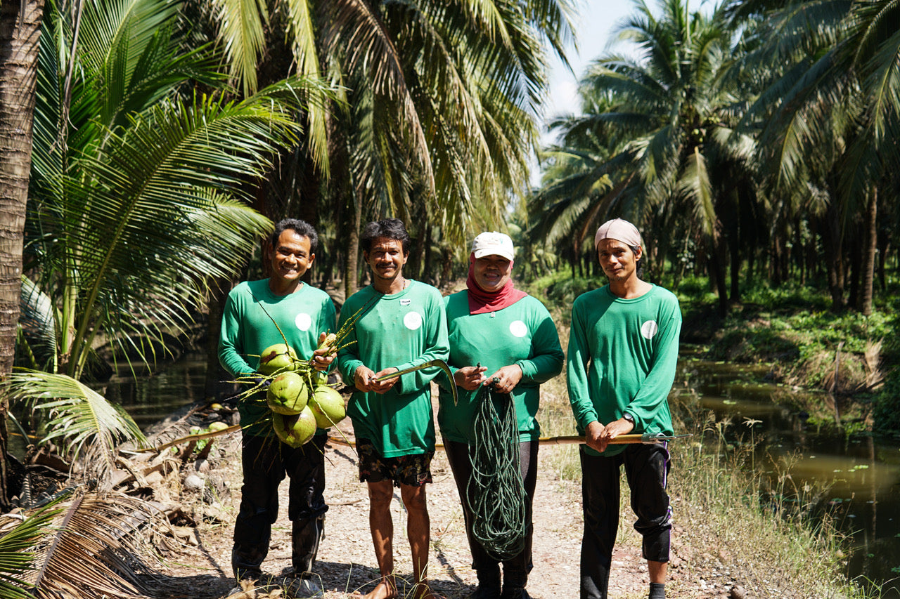 Copra Coconuts team standing together after harvesting Nam Hom coconuts in Thailand for use to make coconut meat and coconut water.
