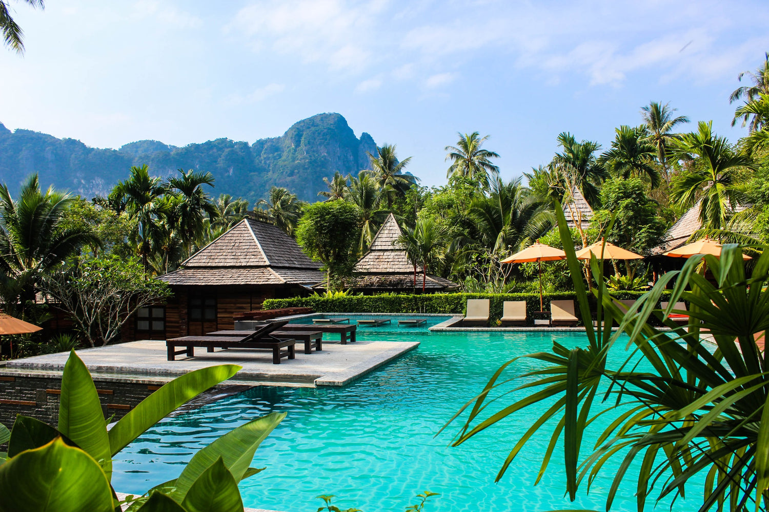 Fresh, organic food and beverage options for HOTELS