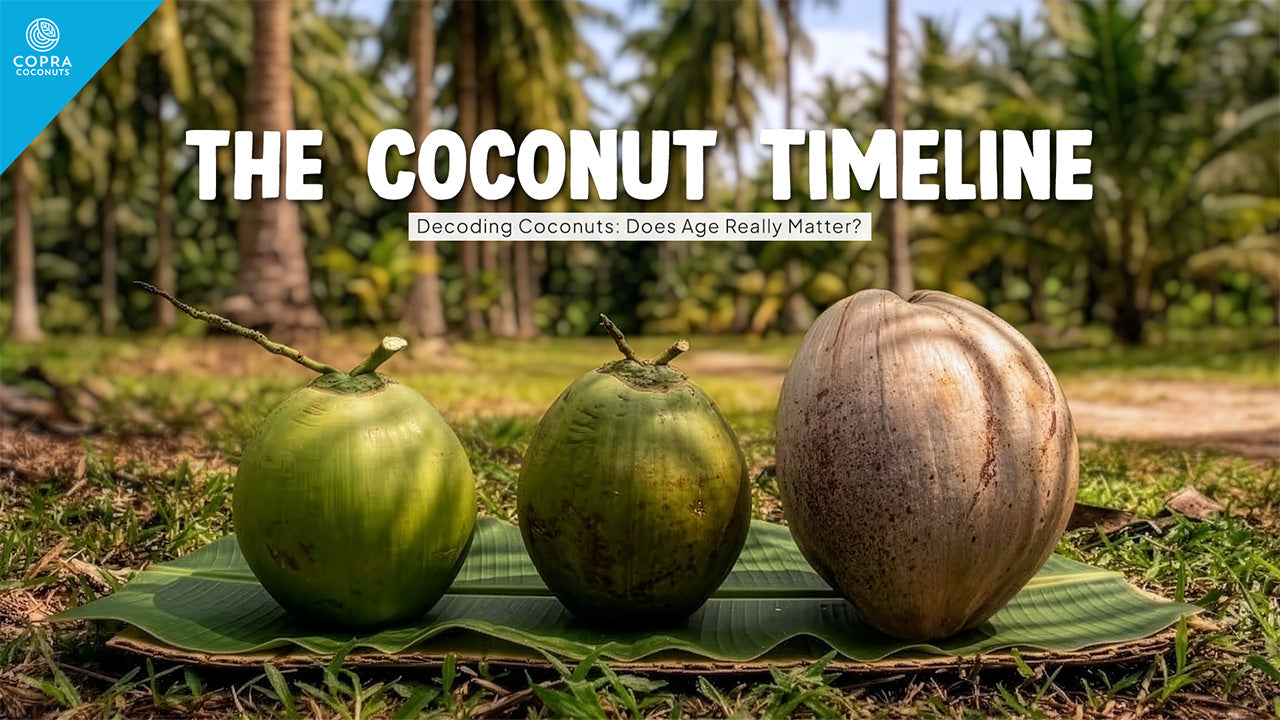 Not All Coconuts Are the Same – Copra Coconuts