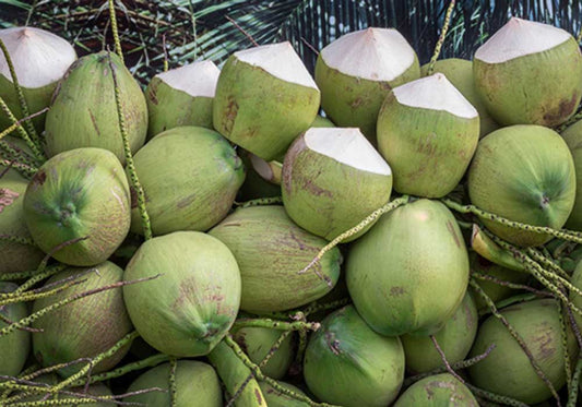 Coconuts in Copra Coconut Meat