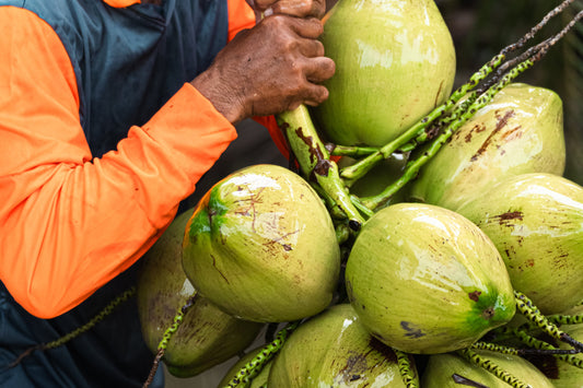 Why You Should Add More Coconuts to Your Diet
