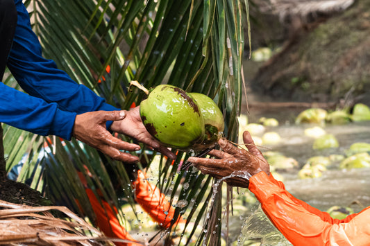The True Heroes: Our Farmers in Ratchaburi