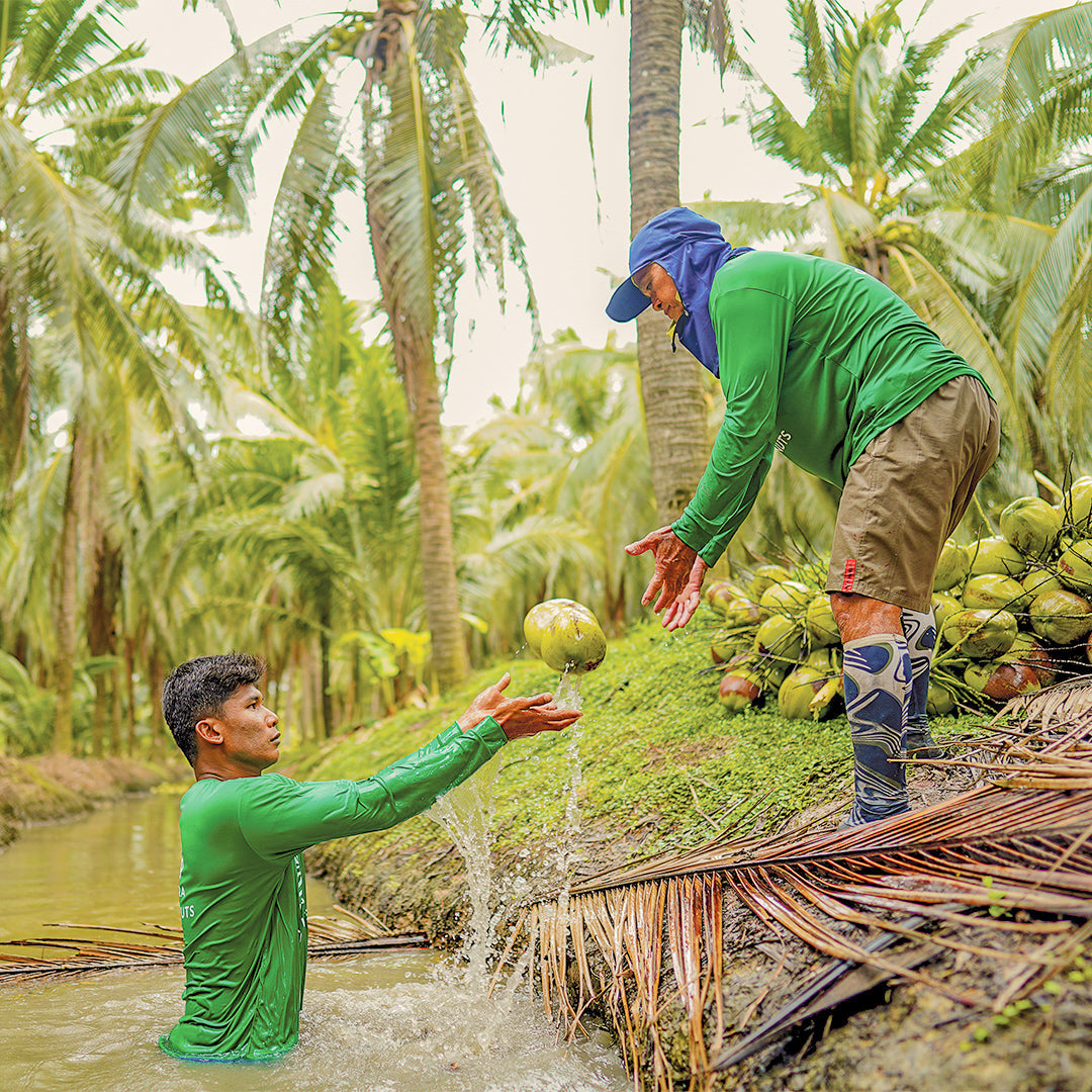 This Is How We Sustainably Harvest Coconuts