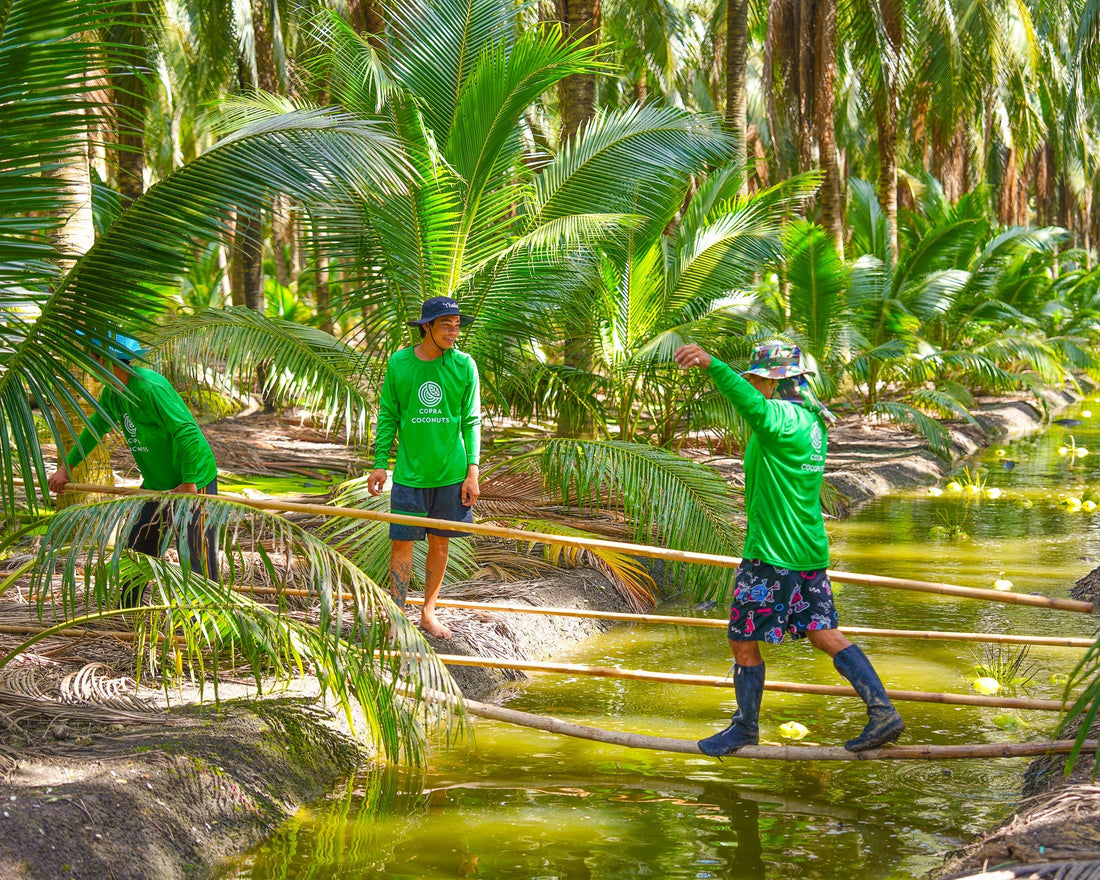 From Factory to Community: Our Water Treatment Journey