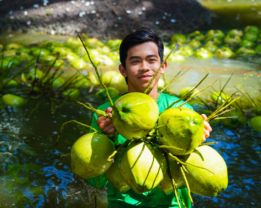 The Seasonality Of Nam Hom Coconuts