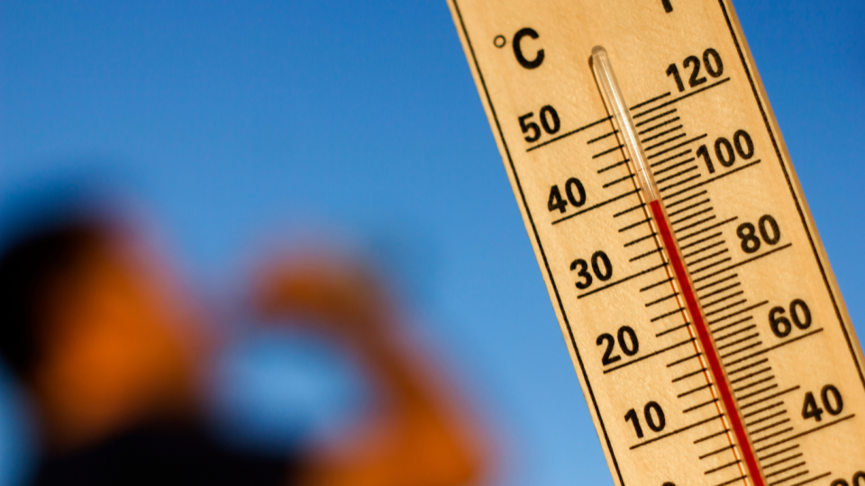 July: The Hottest Month on Record