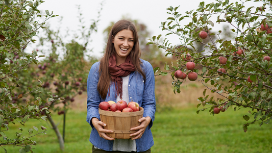 Apples : The Heart of Autumn