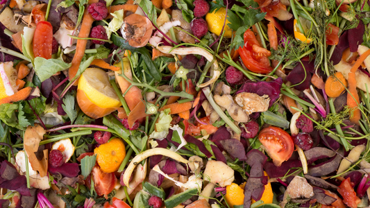 Organic Fertilizer from Food Waste: A Path to Sustainable Living