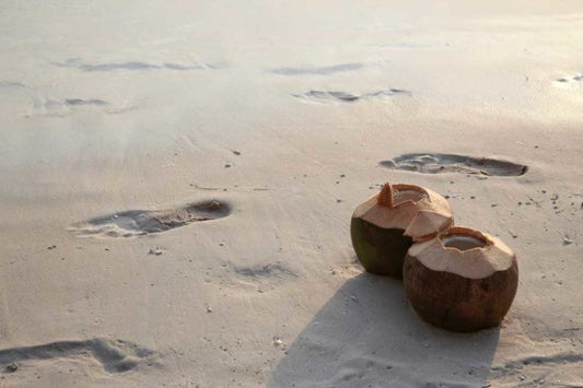 6 Incredible Facts You Probably Didn’t Know About Coconuts