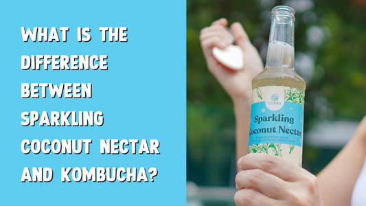 What is the difference between sparkling coconut nectar and kombucha?