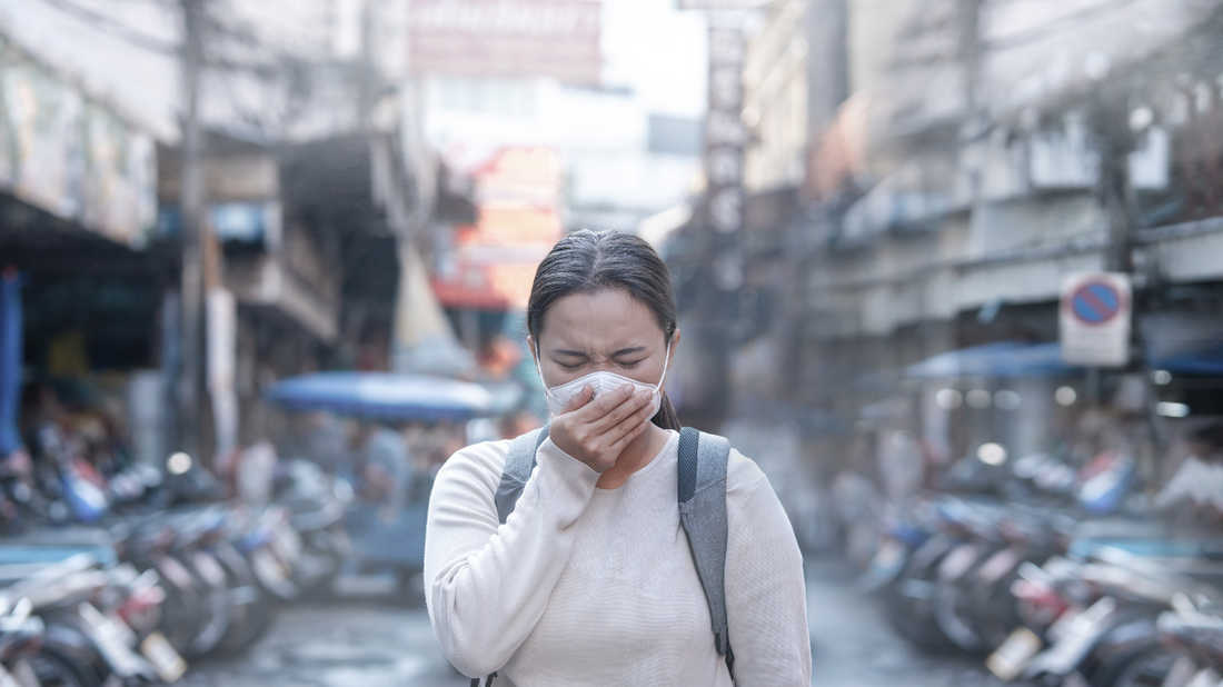 PM 2.5: The Smallest Pollutant with the Biggest Health Impact