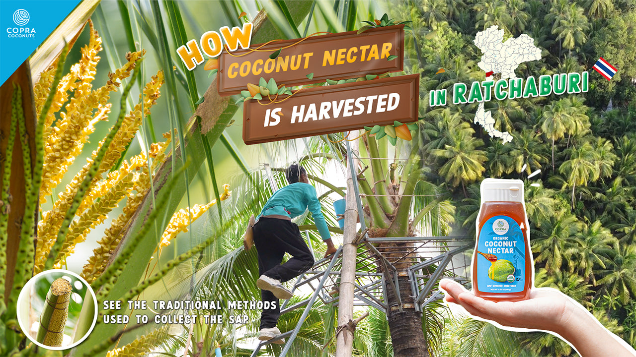 Load video: From Palm to Bottle: The Journey of Copra&#39;s Organic Coconut Nectar