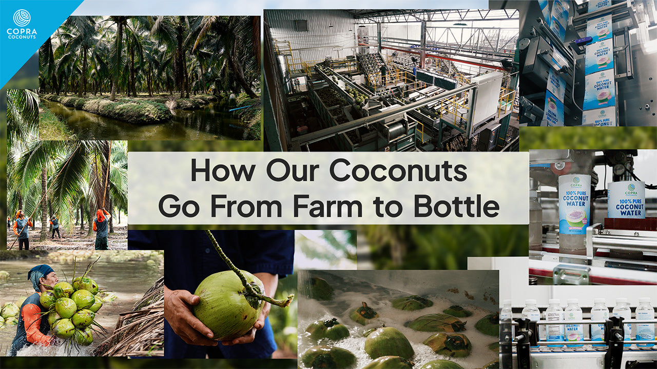 Load video: From Palm to Bottle: The Journey of Copra's Organic Coconut Nectar
