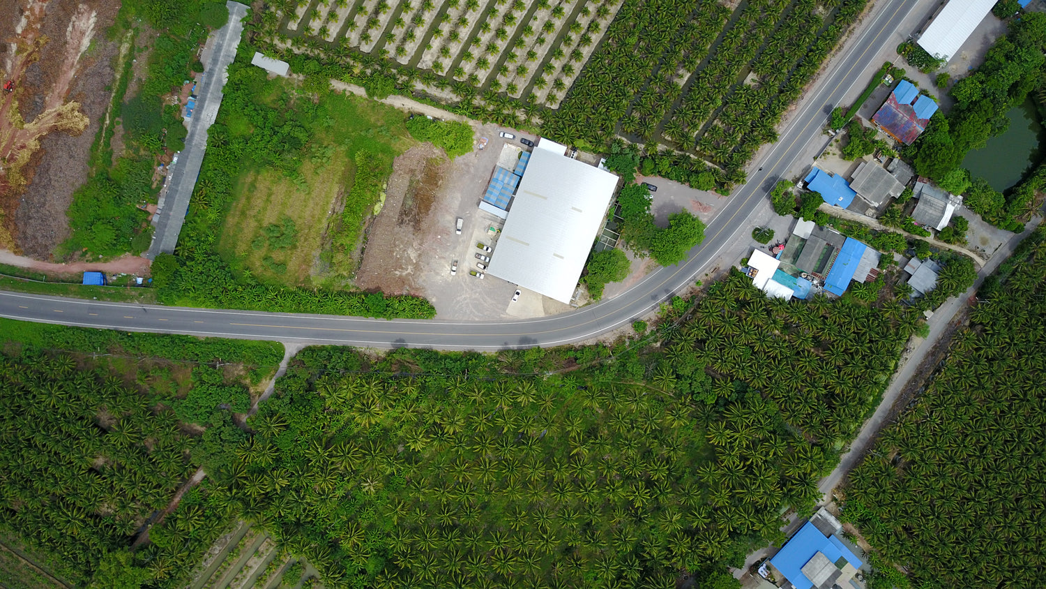 Aerial view of Copra Coconuts factory in Thailand that processes coconuts and makes coconut water and coconut meat. 