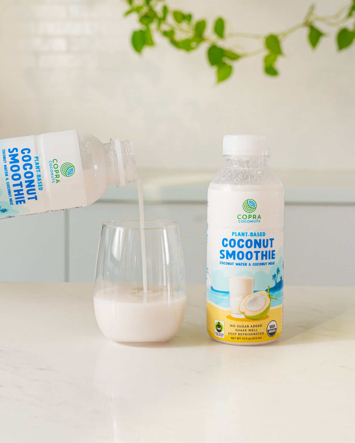 Organic Coconut Smoothie